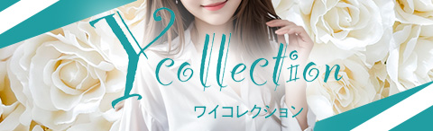 Y collectionの画像